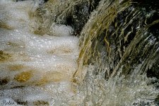 D50_5959.jpg