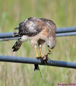 DSC_5639_001.JPG