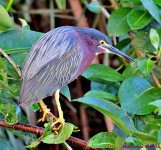 DSC_5814_001.JPG