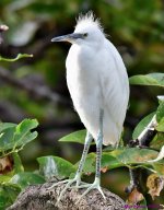 DSC_6315_001.JPG