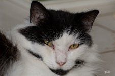 71D_0105_Charlie.jpg