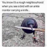 FB_IMG_1716239335224.jpg