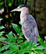 DSC_6753_001.JPG