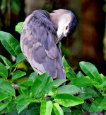 DSC_6760_001.JPG