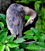 DSC_6767_001.JPG