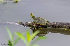 D50_5858.jpg