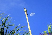 IMG_5840_001.JPG