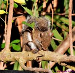 DSC_7244_001.JPG