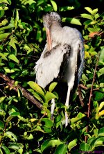 DSC_7254_001.JPG