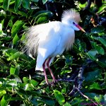 DSC_7301_001.JPG