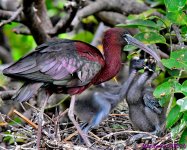 DSC_7632_001.JPG