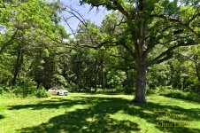 2026-6-12 Bloyer Mounds B.jpg