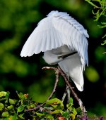 DSC_7674_001.JPG