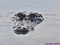 DSC_7739_001.JPG