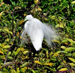DSC_8514_001.JPG