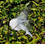 DSC_8533_001.JPG