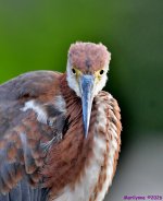 DSC_8651_001.JPG