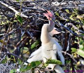 DSC_9766_001.JPG