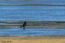 D50_6574.jpg