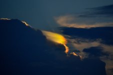 DSC_4878_01.JPG