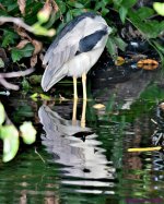 DSC_9979_stitch_001.JPG