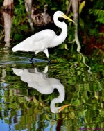 DSC_0066_001.JPG