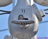 DSC_0139_001.JPG