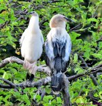DSC_0281_001.JPG