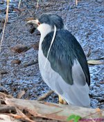 DSC_0315_001.JPG