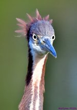 DSC_0393_001.JPG