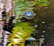 DSC_0603_001.JPG