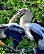 DSC_0638_001.JPG
