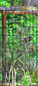 DSC_0652_stitch3_001.JPG
