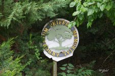 PeifferArbor1234 sm.jpg