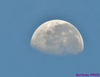 DSC_0760_001.JPG