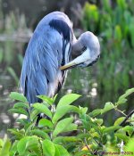 DSC_0770_001.JPG