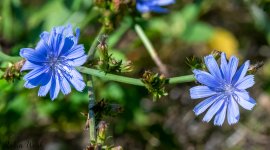 D50_8638-Edit-Edit-Edit.jpg