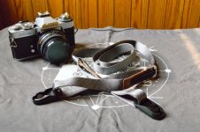 DSC_1903 (Custom).jpg