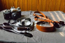 DSC_1904 (Custom).jpg