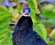 DSC_0883_001.JPG