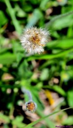 500_3174_001.JPG