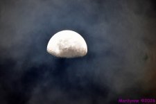 DSC_0704_001.JPG