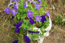 _DSC0148_DxOres.jpg
