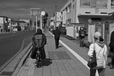 DSC_2243.JPG