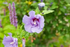 MLP_9057_DxO_DxO.jpg