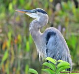 DSC_1291_001.JPG