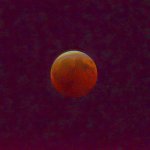 610_6753-Edit.jpg