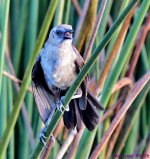 DSC_1729_001.JPG