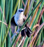 DSC_1730_001.JPG