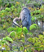 DSC_1829_001.JPG